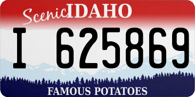 ID license plate I625869