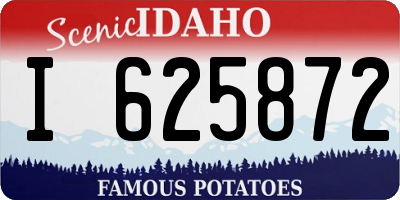 ID license plate I625872