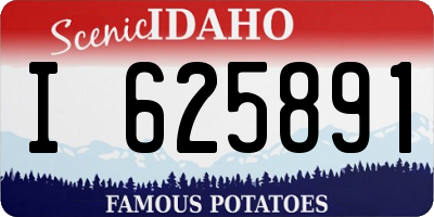 ID license plate I625891