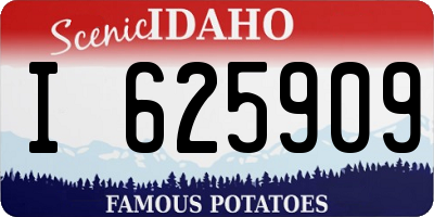 ID license plate I625909
