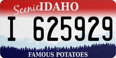 ID license plate I625929