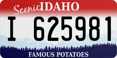 ID license plate I625981