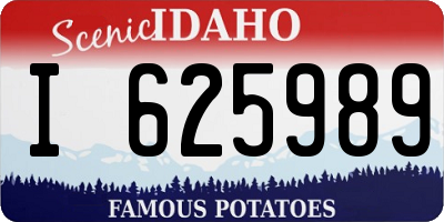 ID license plate I625989