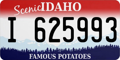 ID license plate I625993