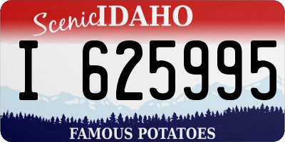 ID license plate I625995