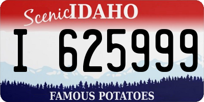ID license plate I625999