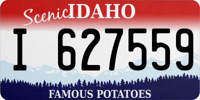 ID license plate I627559