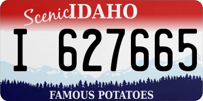 ID license plate I627665