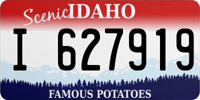 ID license plate I627919