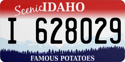 ID license plate I628029