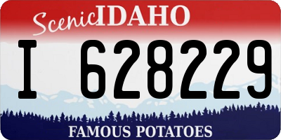 ID license plate I628229