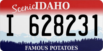 ID license plate I628231