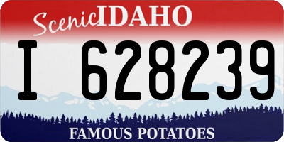 ID license plate I628239