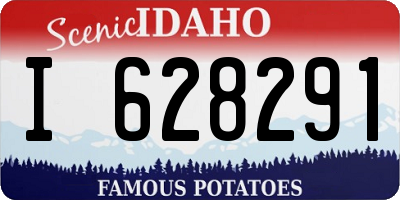 ID license plate I628291