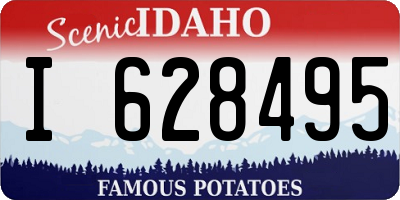 ID license plate I628495