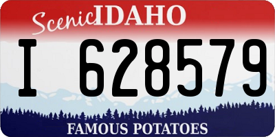 ID license plate I628579