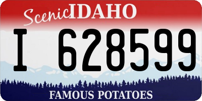ID license plate I628599
