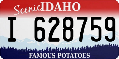 ID license plate I628759