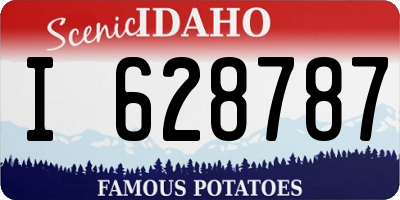 ID license plate I628787