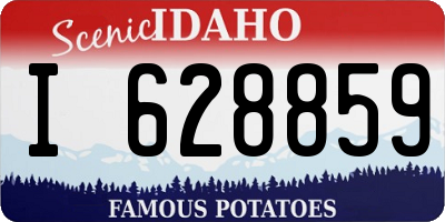 ID license plate I628859