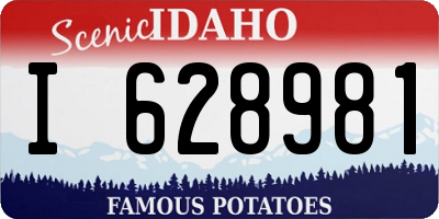 ID license plate I628981