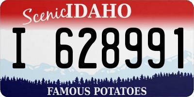 ID license plate I628991