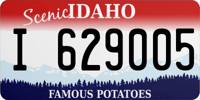 ID license plate I629005