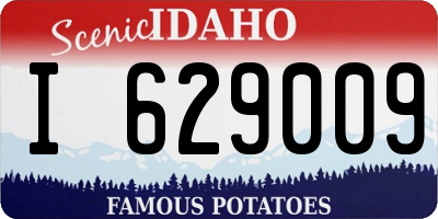 ID license plate I629009