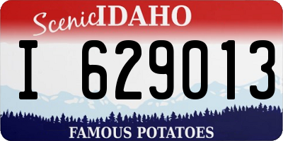 ID license plate I629013