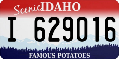 ID license plate I629016