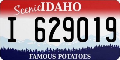 ID license plate I629019