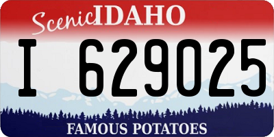 ID license plate I629025