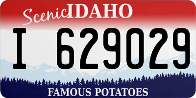 ID license plate I629029