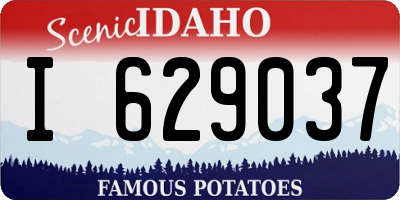 ID license plate I629037