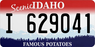 ID license plate I629041