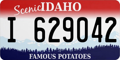 ID license plate I629042
