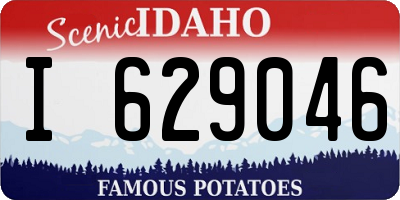 ID license plate I629046