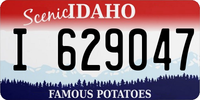 ID license plate I629047