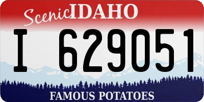 ID license plate I629051