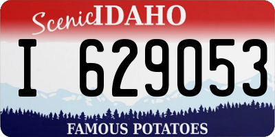 ID license plate I629053