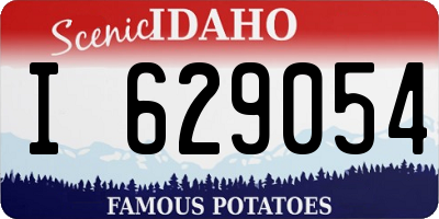 ID license plate I629054
