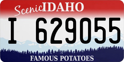 ID license plate I629055