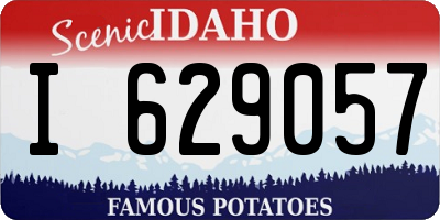 ID license plate I629057