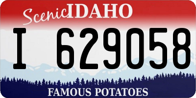 ID license plate I629058