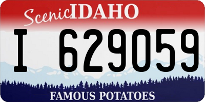 ID license plate I629059