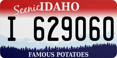 ID license plate I629060