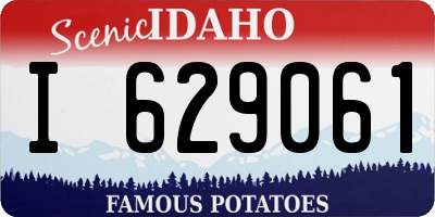 ID license plate I629061