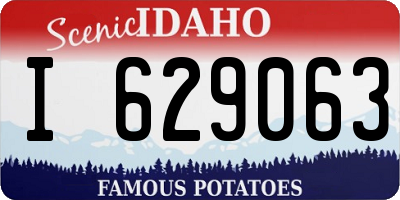 ID license plate I629063