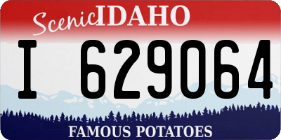 ID license plate I629064