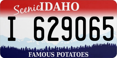 ID license plate I629065
